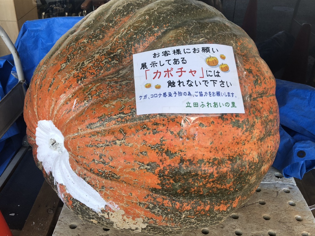 道の駅 ふれあいの里HASUパークの写真