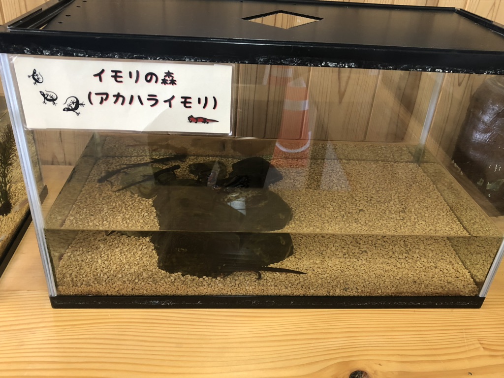 道の駅 奥永源寺渓流の里の写真