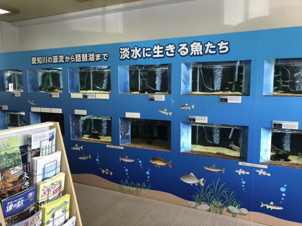 道の駅 奥永源寺渓流の里の写真