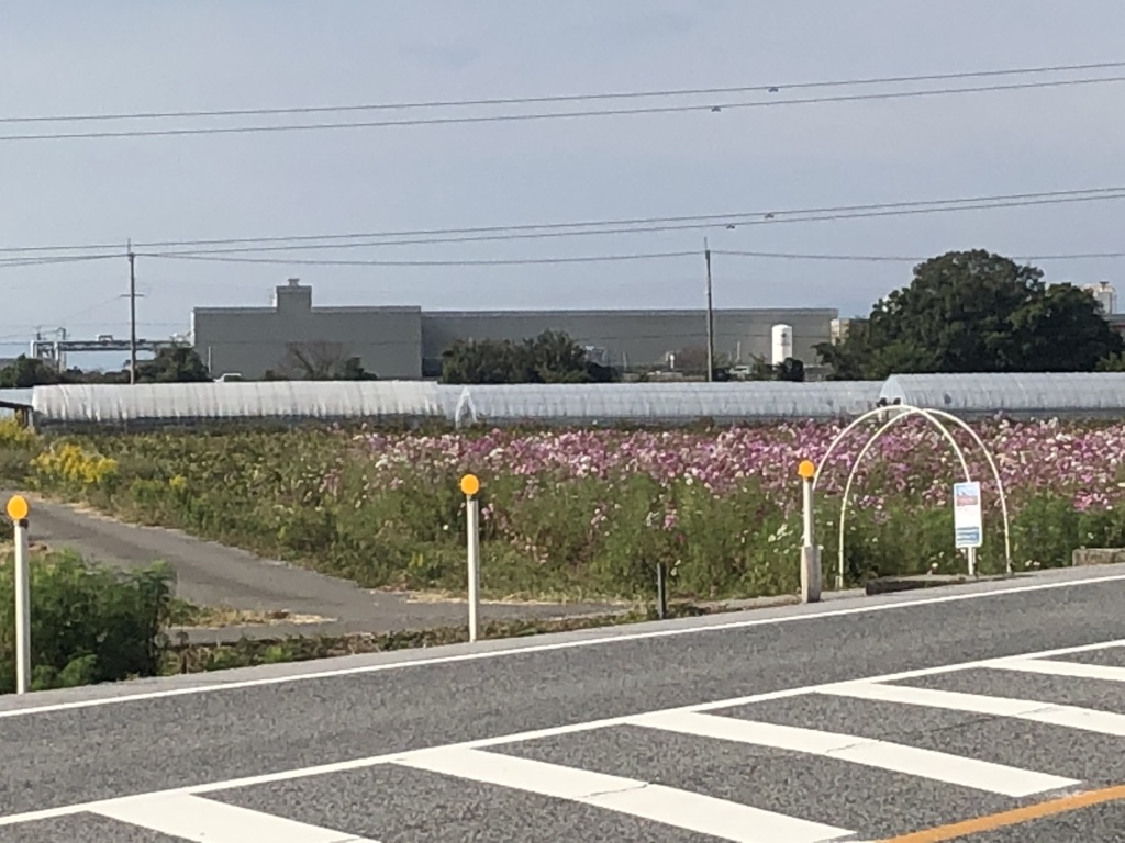 道の駅 東近江市あいとうマーガレットステーションの写真