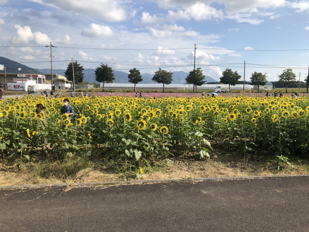道の駅 東近江市あいとうマーガレットステーションの写真