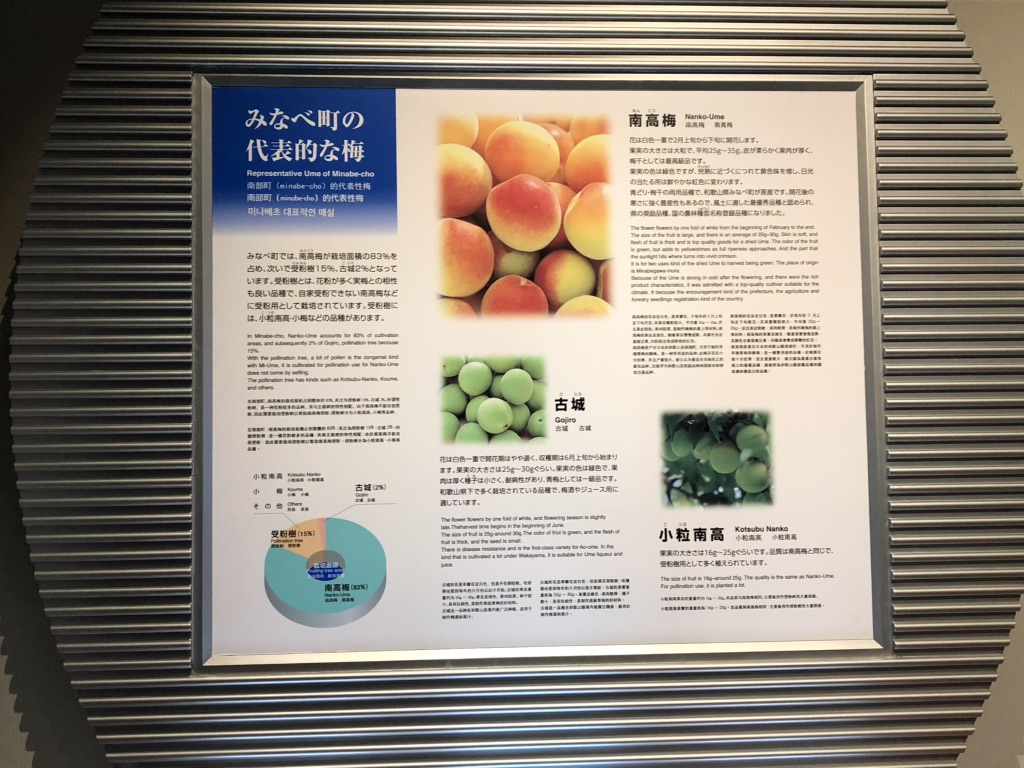 道の駅 みなべうめ振興館の写真