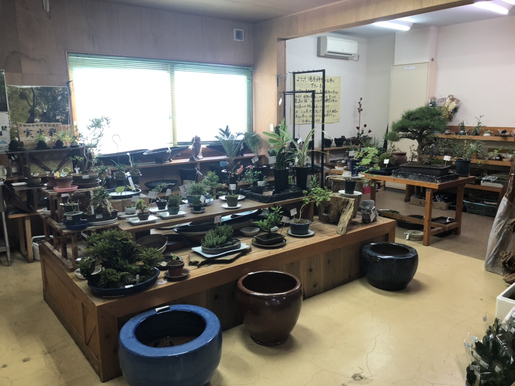 道の駅 奥伊勢木つつ木館の写真