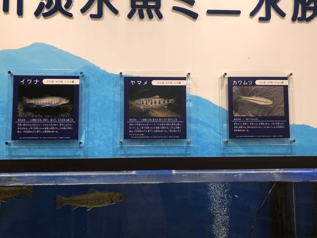 道の駅 越前おおの荒島の郷の写真