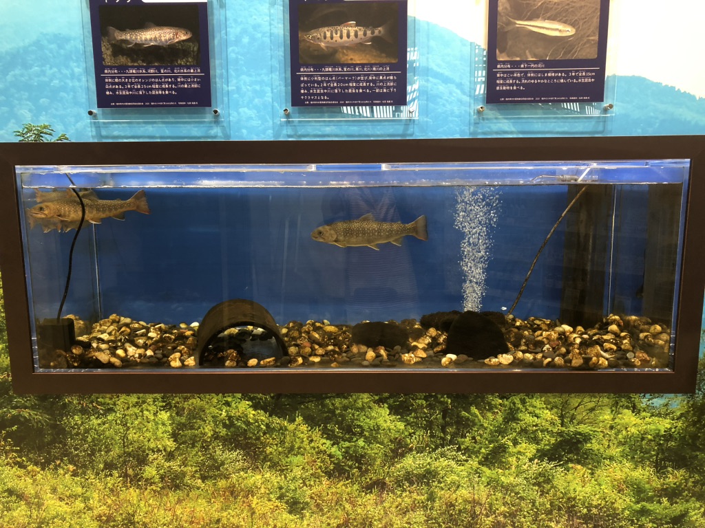 道の駅 越前おおの荒島の郷の写真