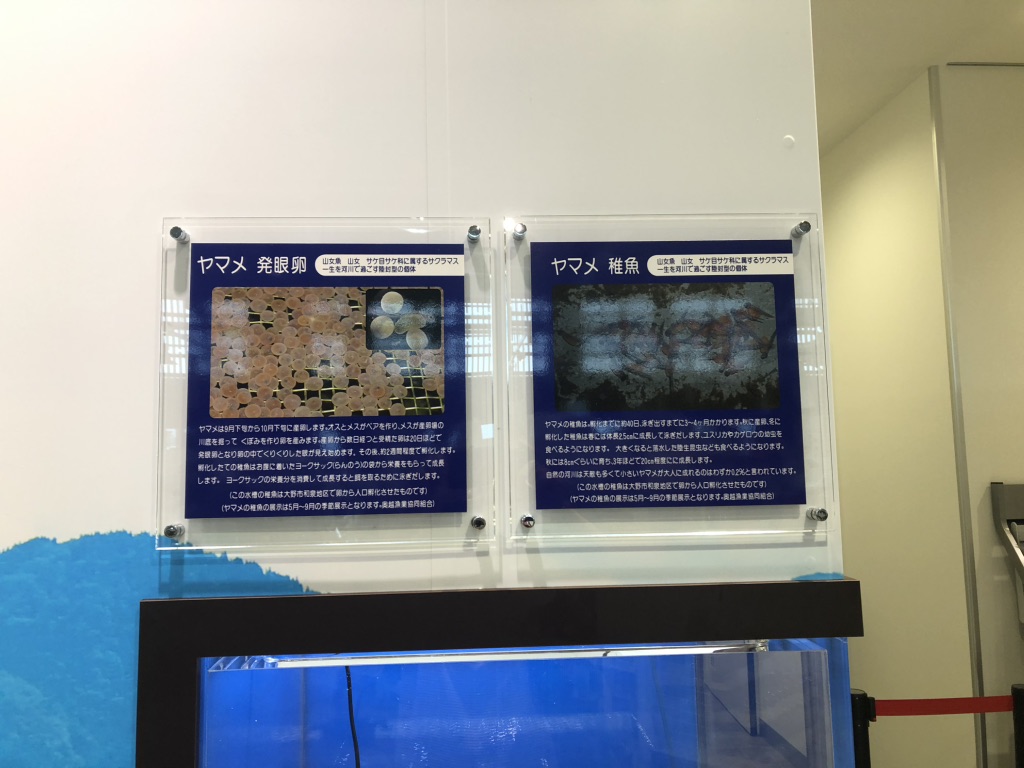 道の駅 越前おおの荒島の郷の写真