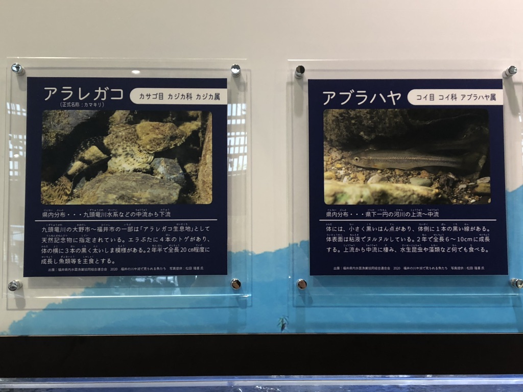 道の駅 越前おおの荒島の郷の写真