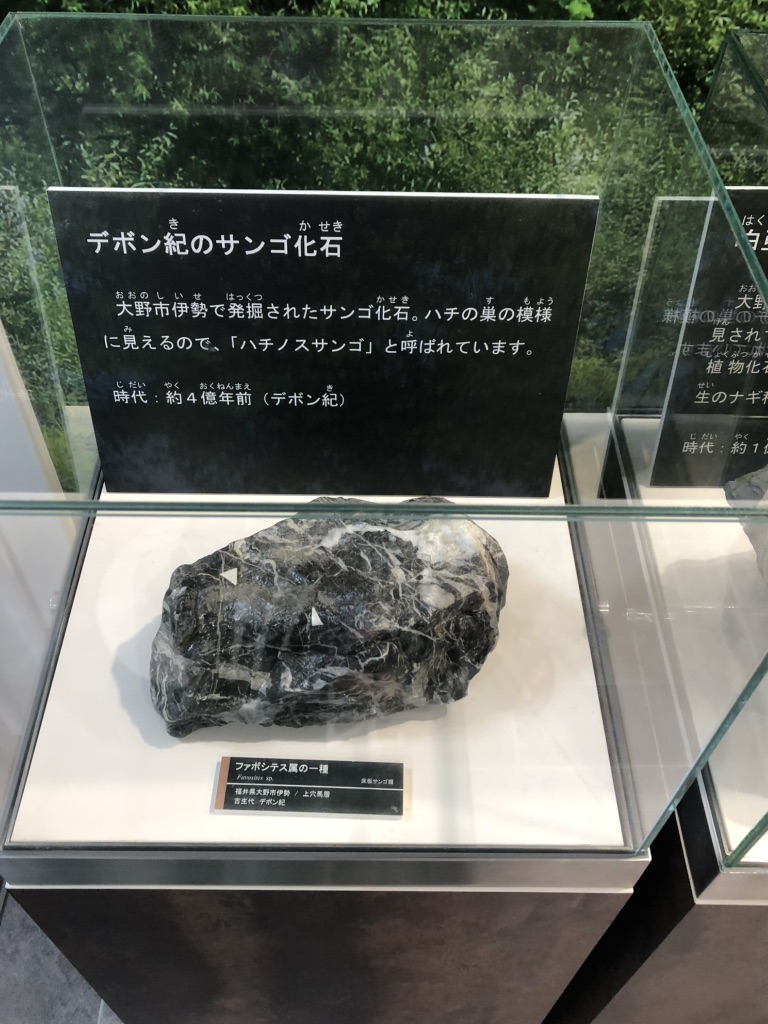 道の駅 越前おおの荒島の郷の写真