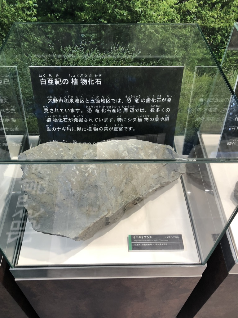道の駅 越前おおの荒島の郷の写真