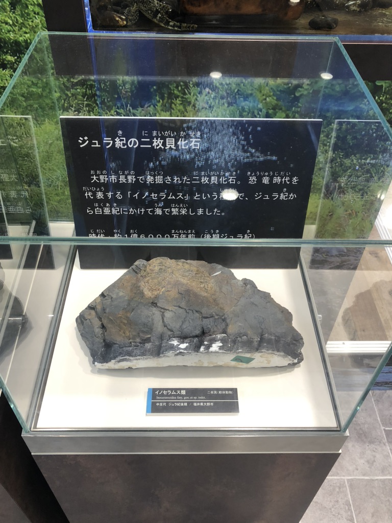 道の駅 越前おおの荒島の郷の写真