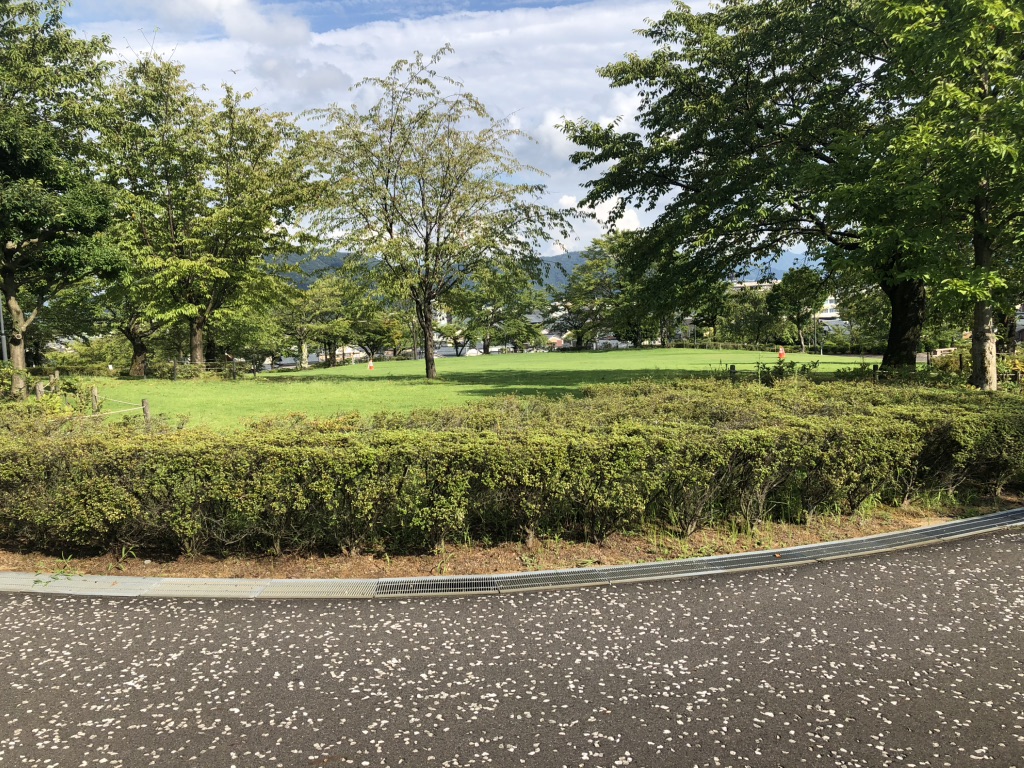 道の駅 西山公園の写真