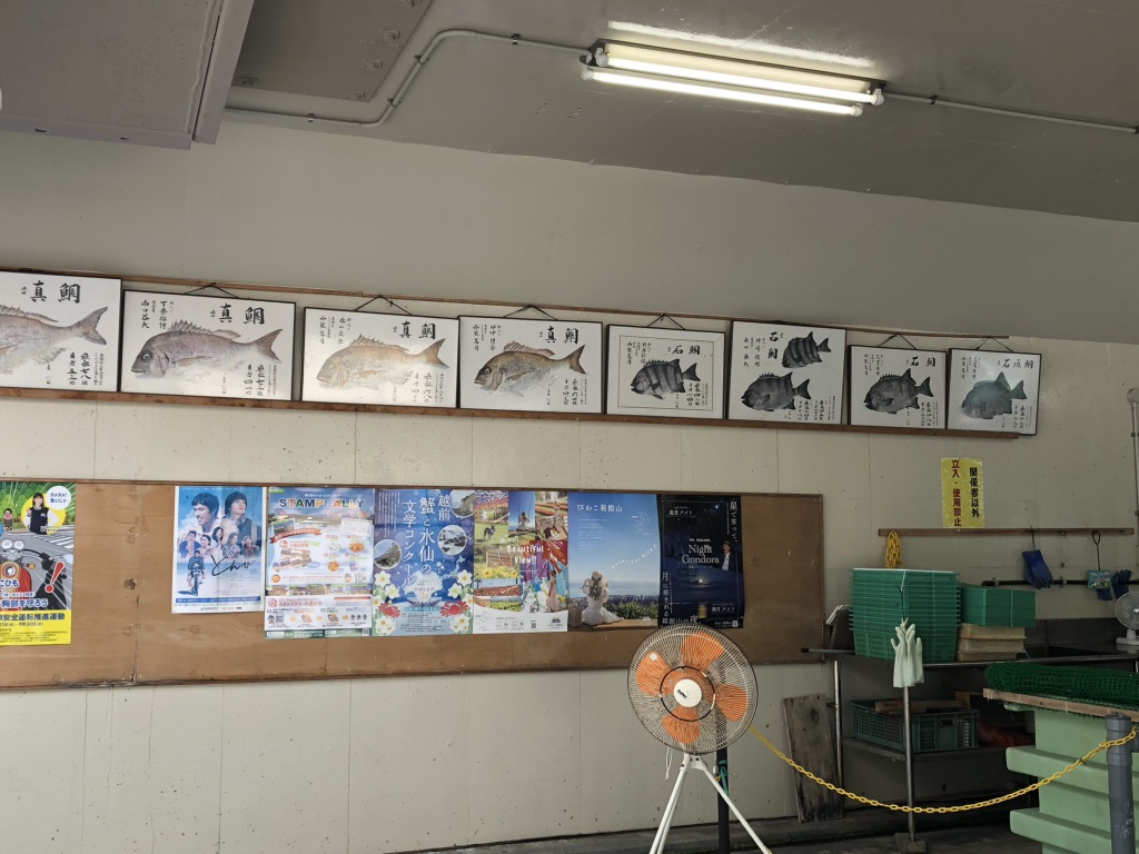 道の駅 とっとパーク小島の写真