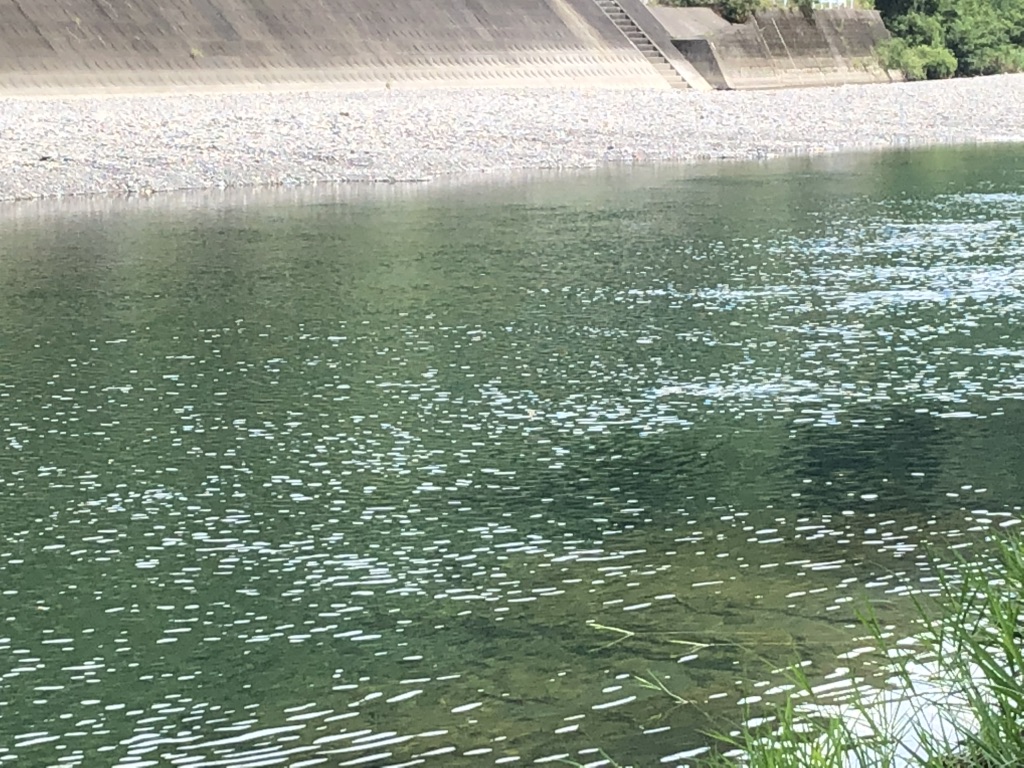 道の駅 水の郷日高川　龍游の写真