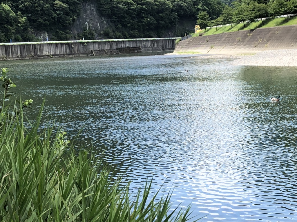 道の駅 水の郷日高川　龍游の写真