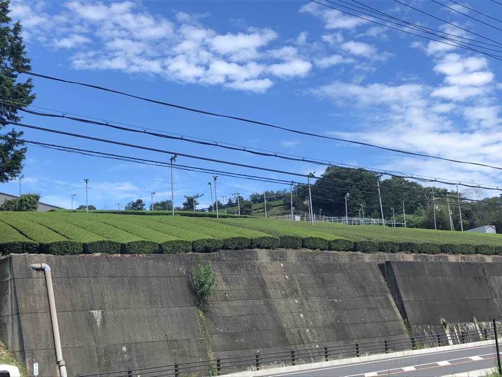 道の駅 お茶の京都 みなみやましろ村の写真