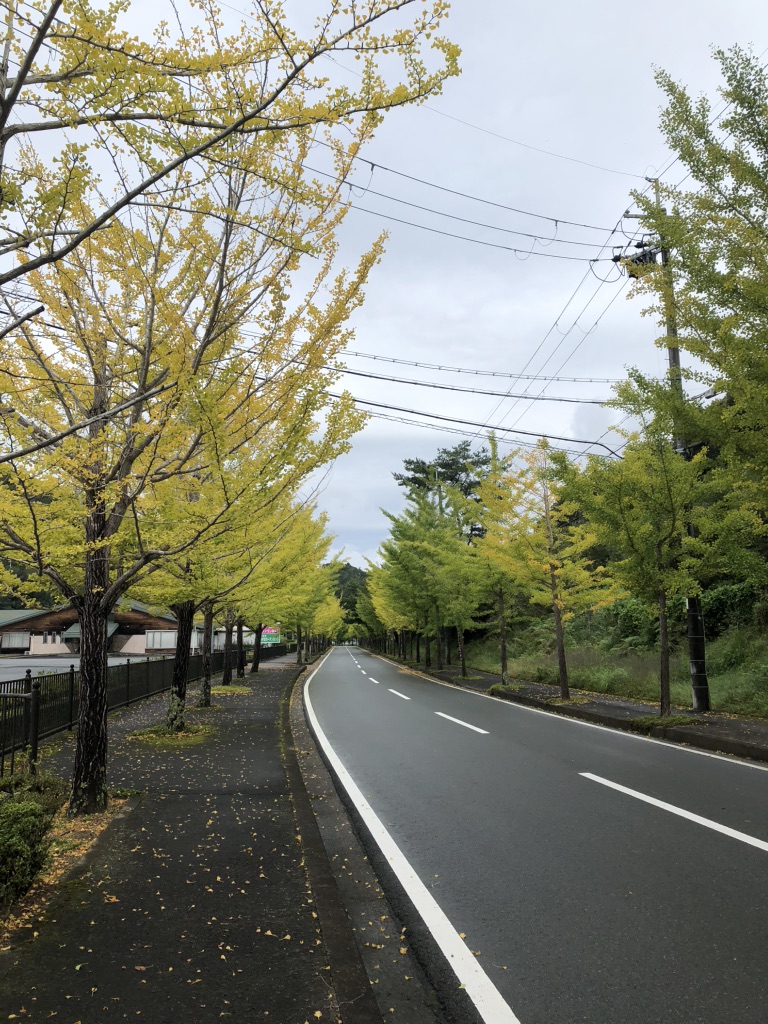 道の駅 瑞穂の里・さらびきの写真