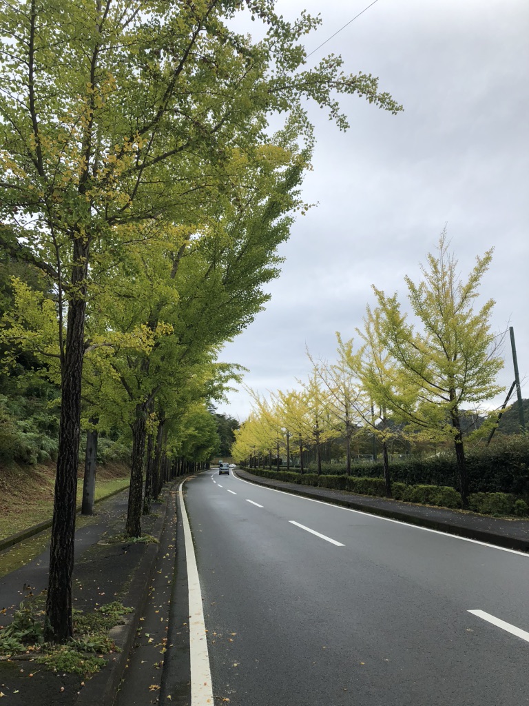 道の駅 瑞穂の里・さらびきの写真