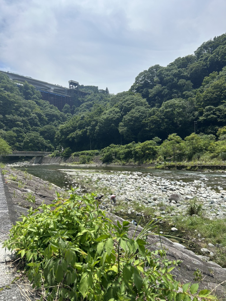 道の駅 山北の写真