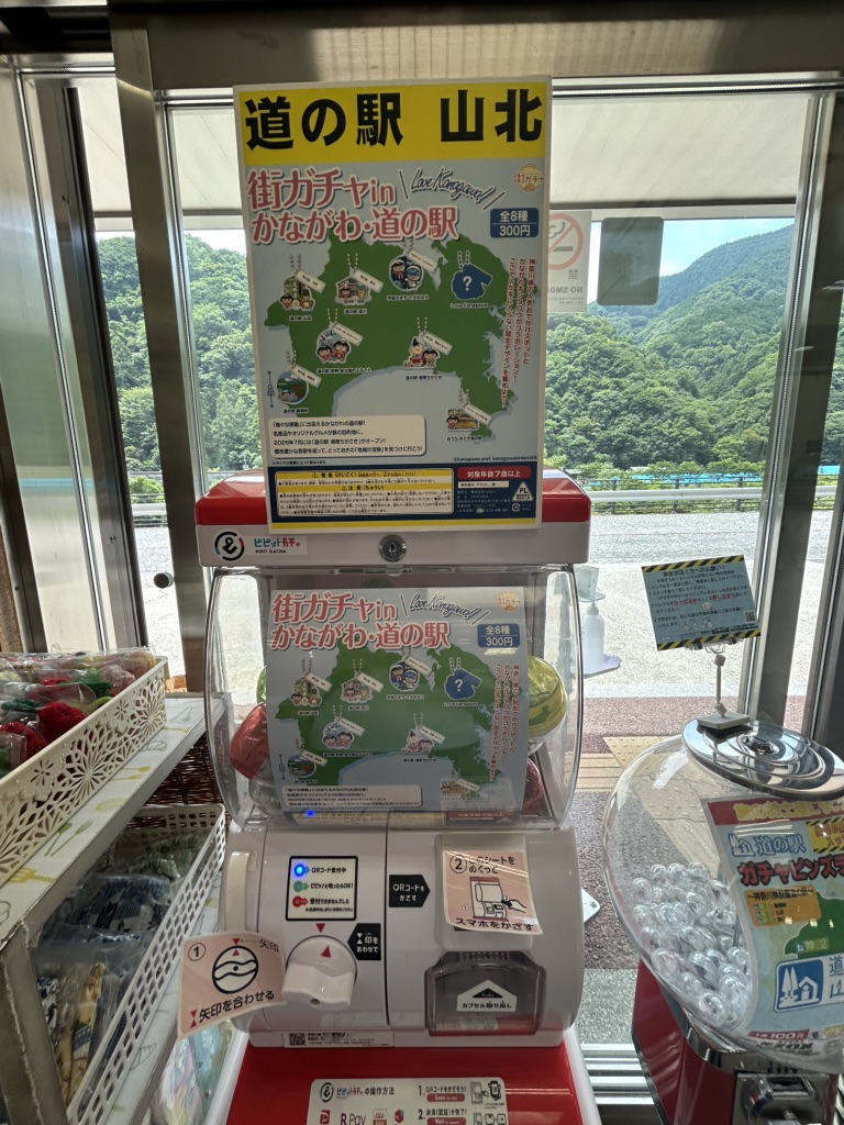 道の駅 山北の写真
