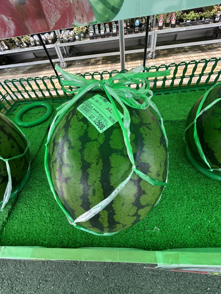 道の駅 足柄・金太郎のふるさとの写真