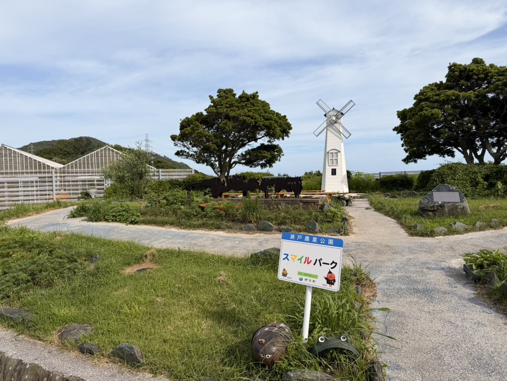 道の駅 佐田岬半島ミュージアムの写真