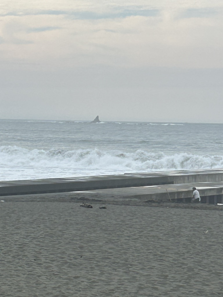 道の駅 湘南ちがさきの写真