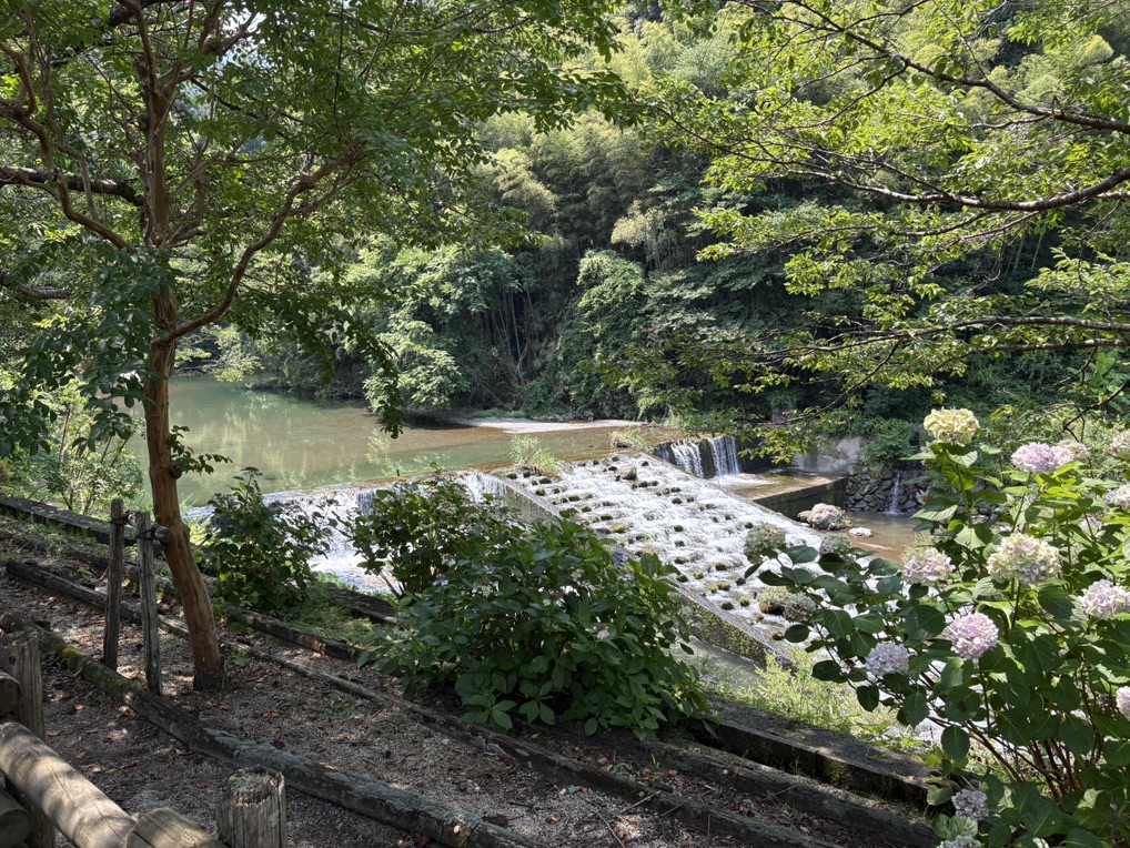 道の駅 小田の郷せせらぎの写真