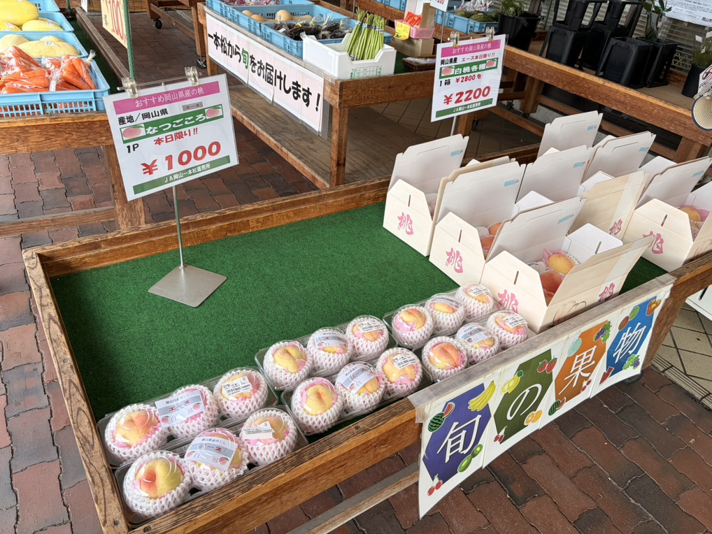 道の駅 一本松展望園の写真