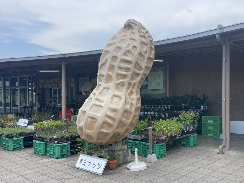 道の駅 木更津うまくたの里の写真