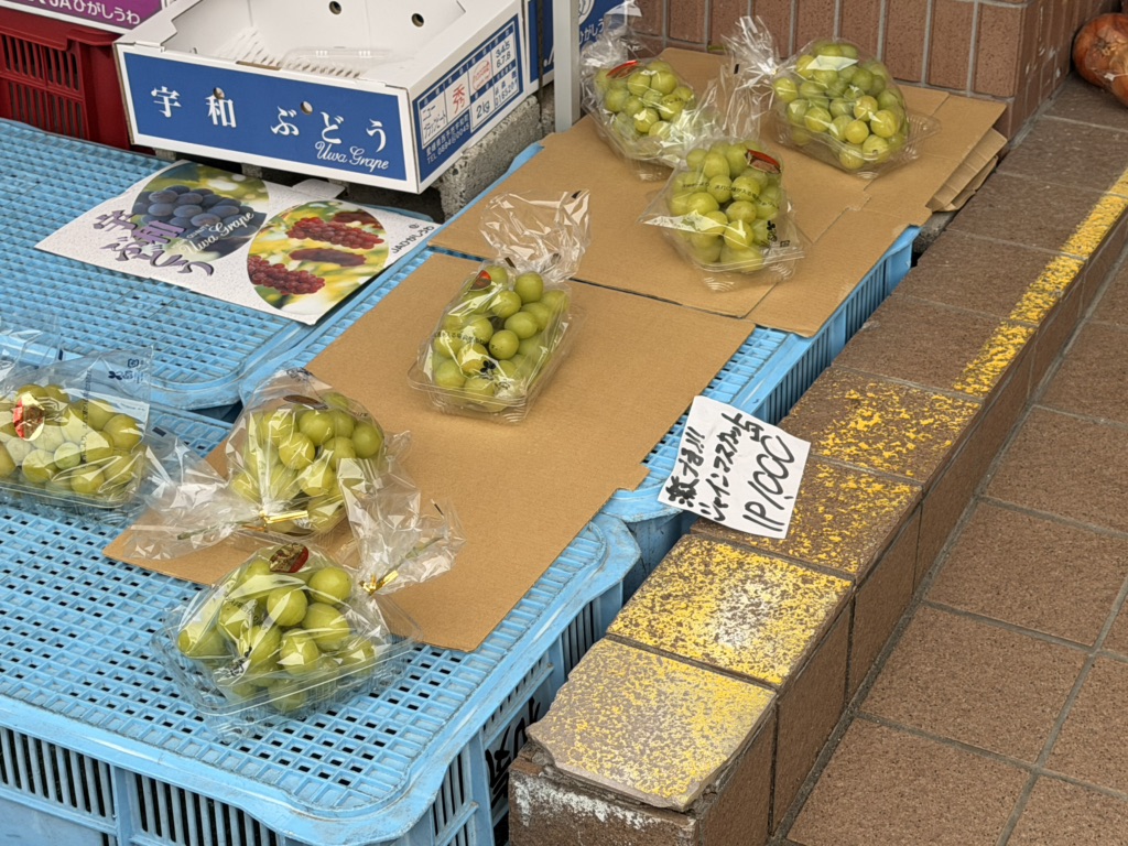 道の駅 きなはい屋しろかわの写真