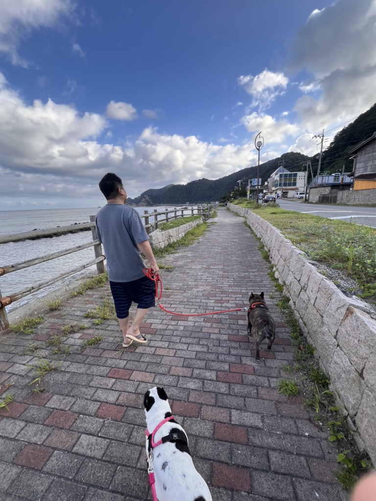 道の駅 笹川流れの写真