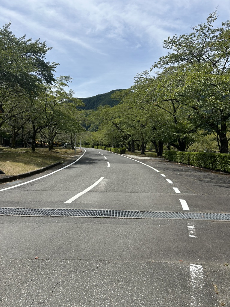 道の駅 きなりの郷 下北山の写真