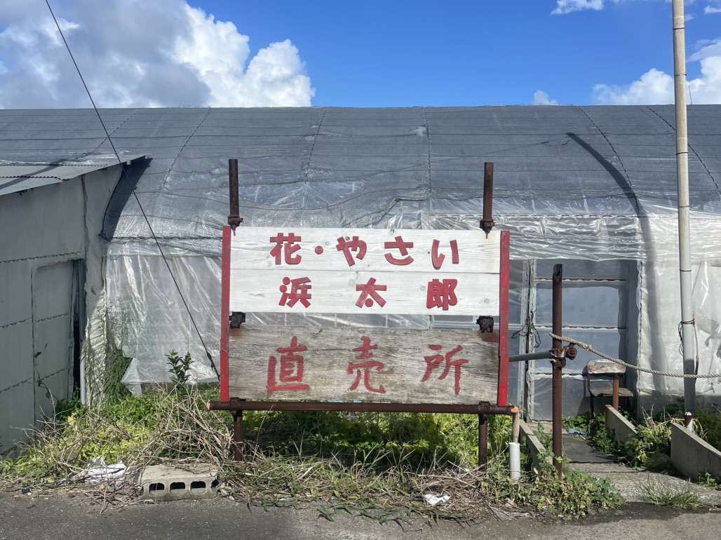 道の駅 白浜野島崎の写真