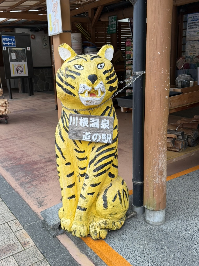 道の駅 川根温泉の写真