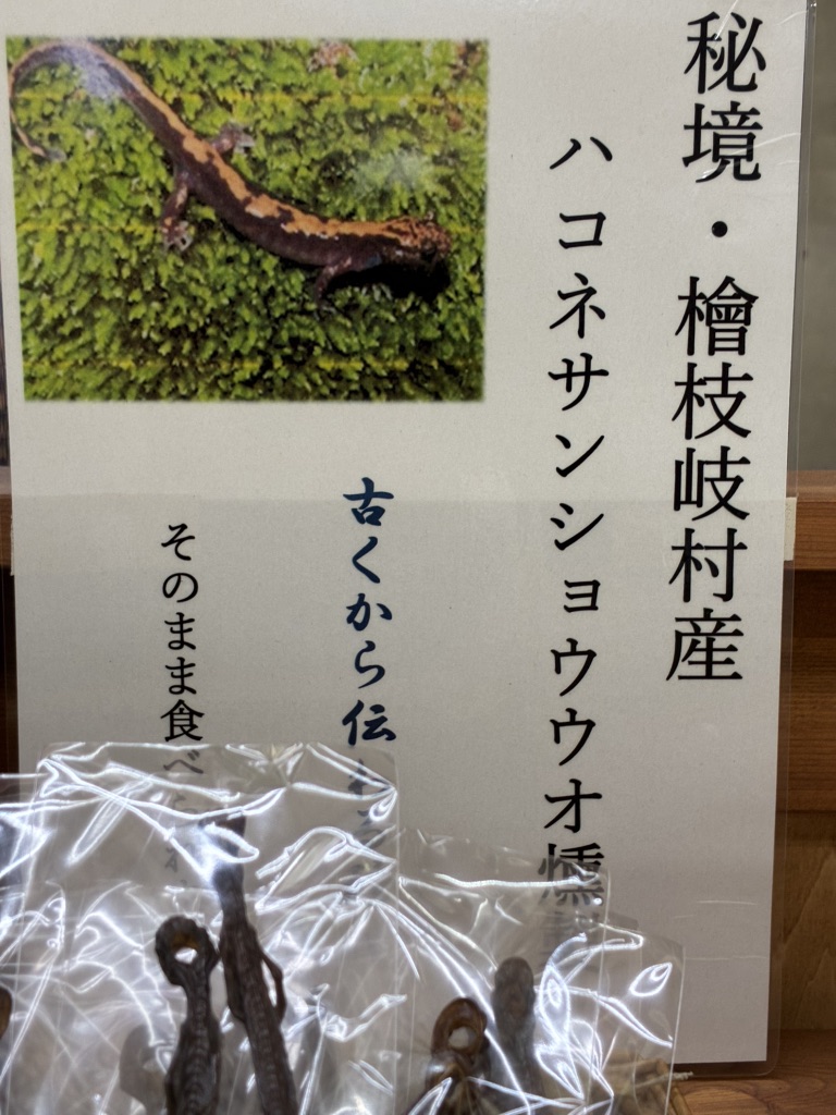道の駅 尾瀬檜枝岐の写真