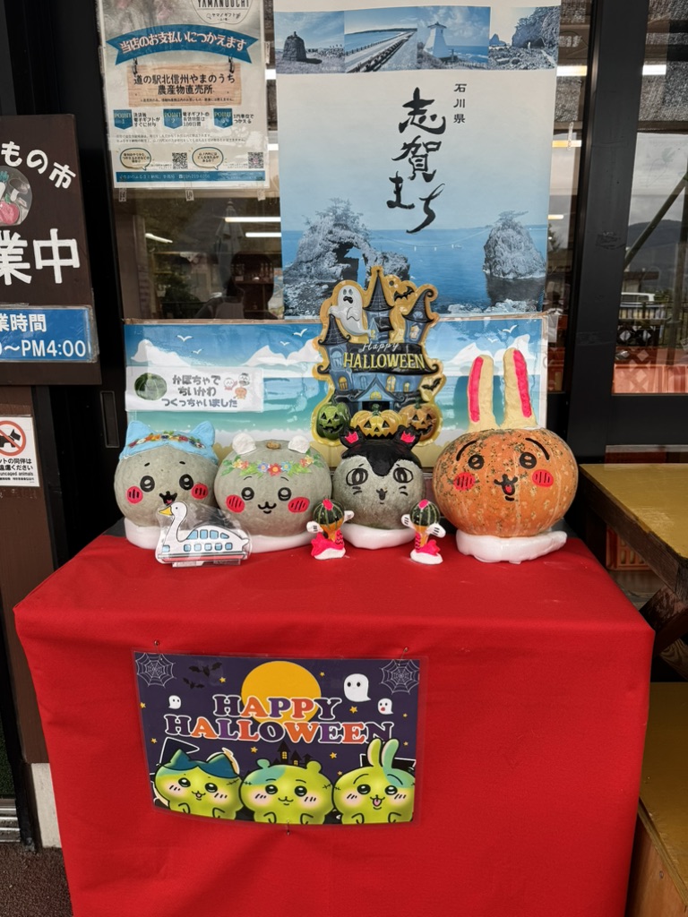 道の駅 北信州やまのうちの写真