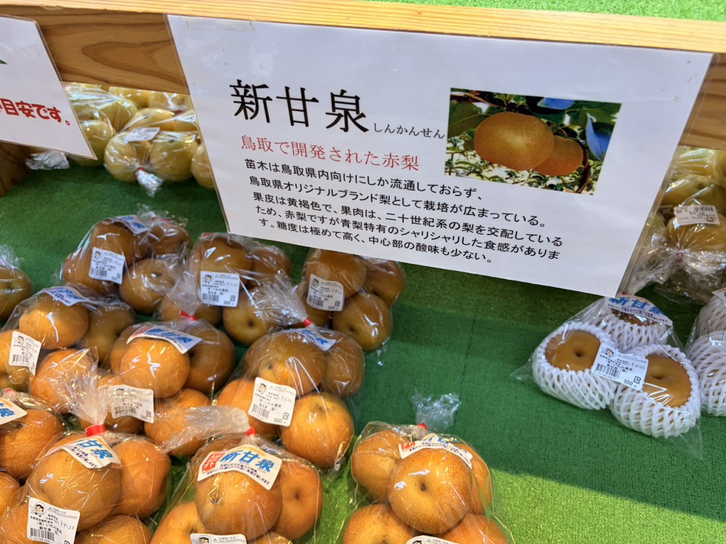 道の駅 きなんせ岩美の写真