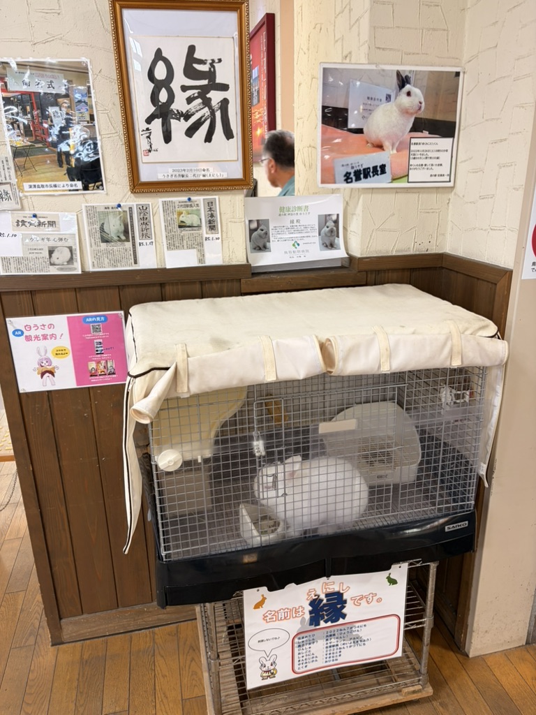 道の駅 神話の里　白うさぎの写真