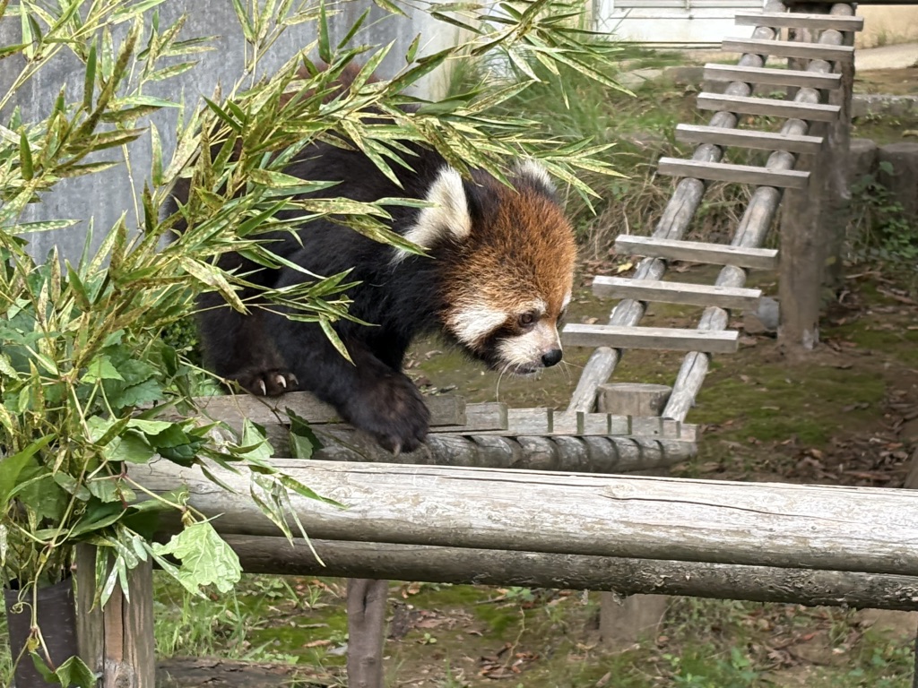 道の駅 西山公園の写真
