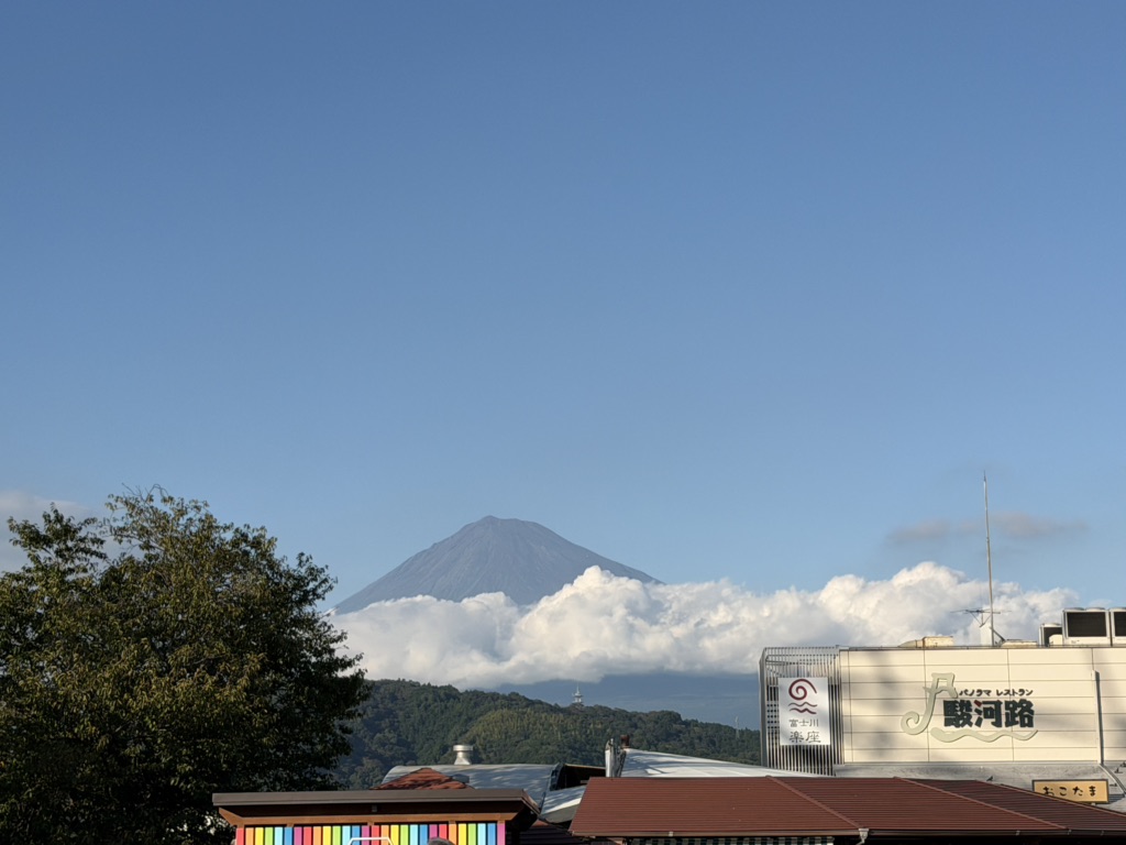 道の駅 富士川楽座の写真
