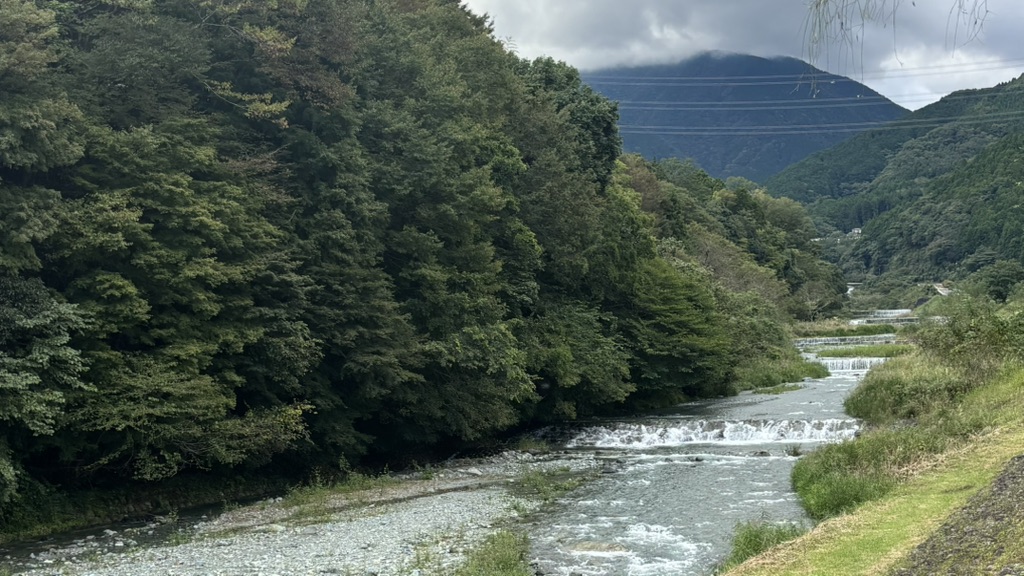 道の駅 やどりきテラス 清流の里の写真