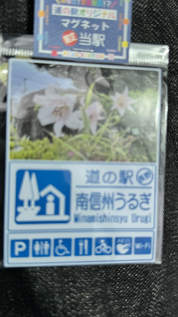 道の駅 南信州うるぎの写真