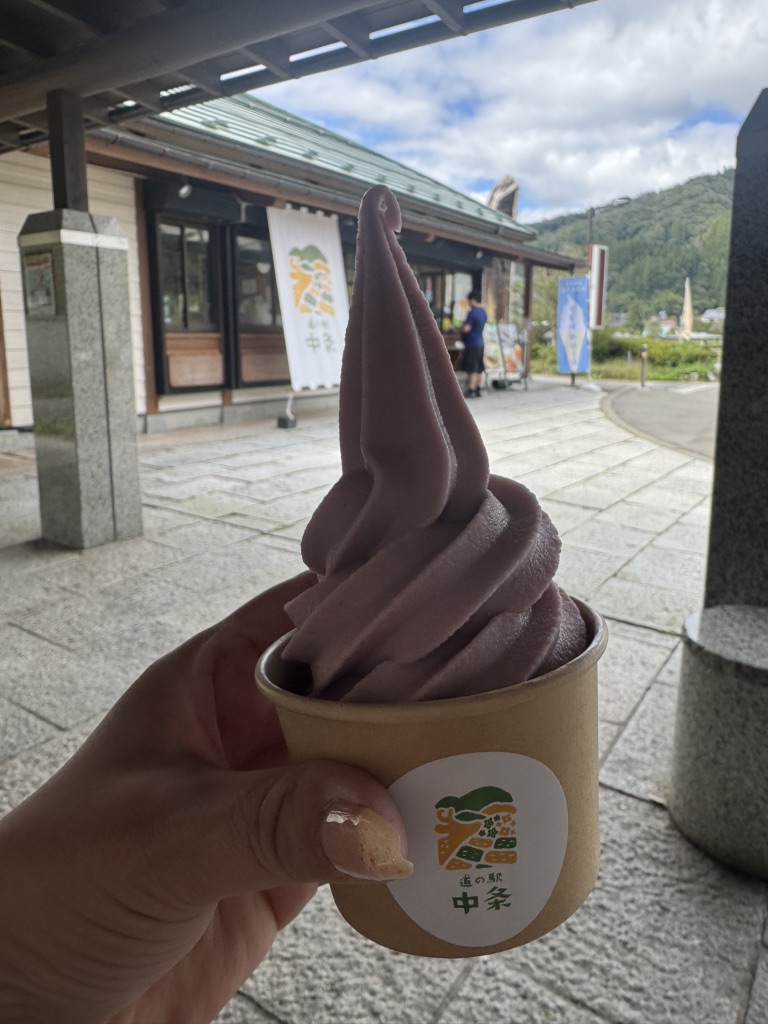 道の駅 中条の写真