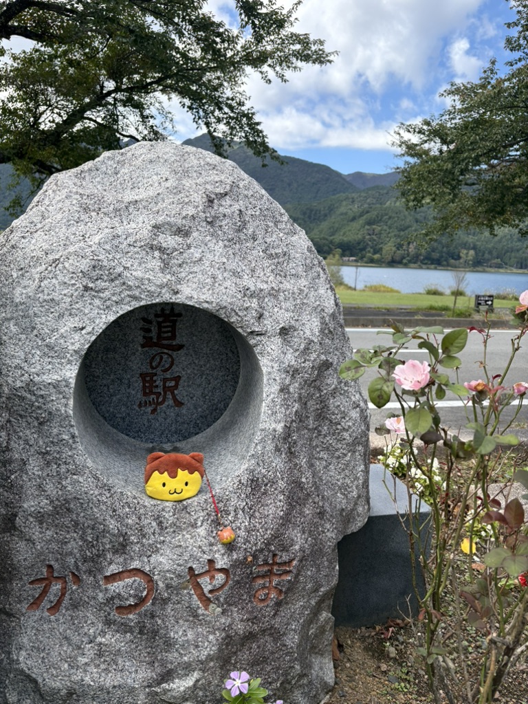 道の駅 かつやまの写真