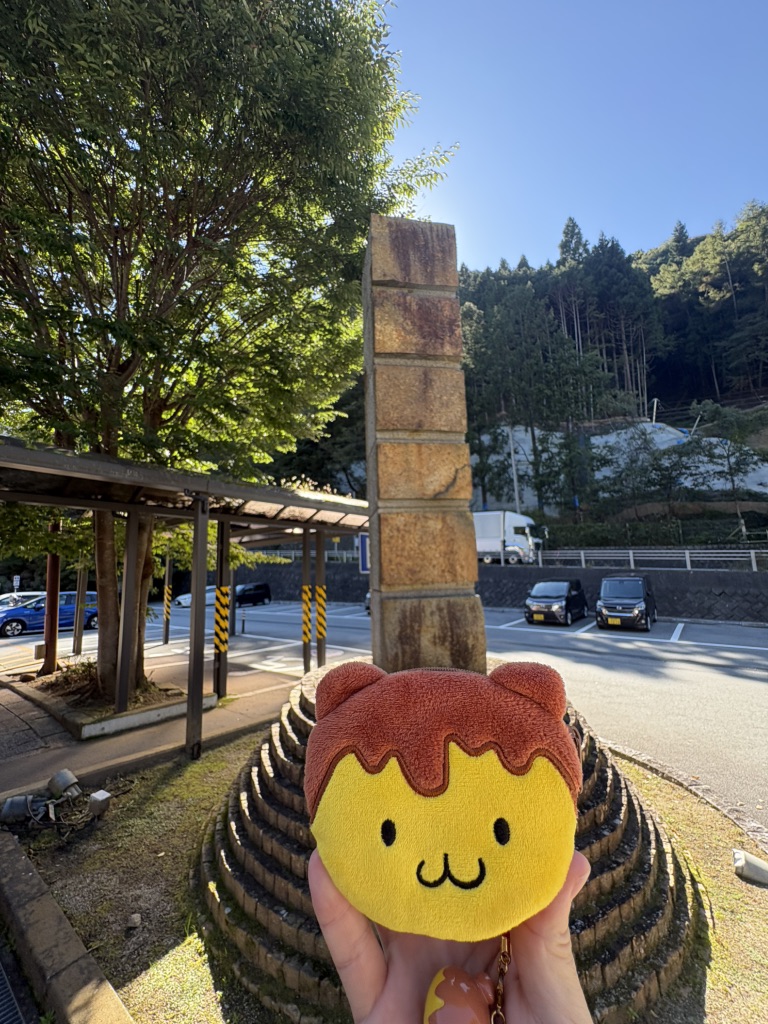 道の駅 甲斐大和の写真