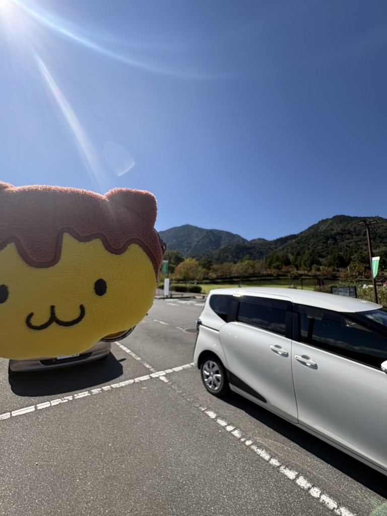 道の駅 みのぶ・富士川観光センターの写真
