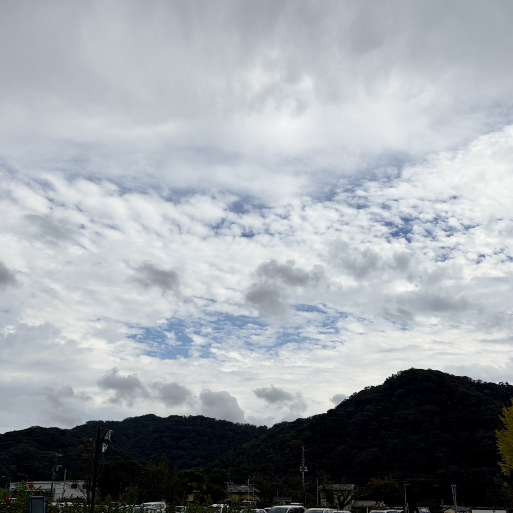 道の駅 保田小学校の写真