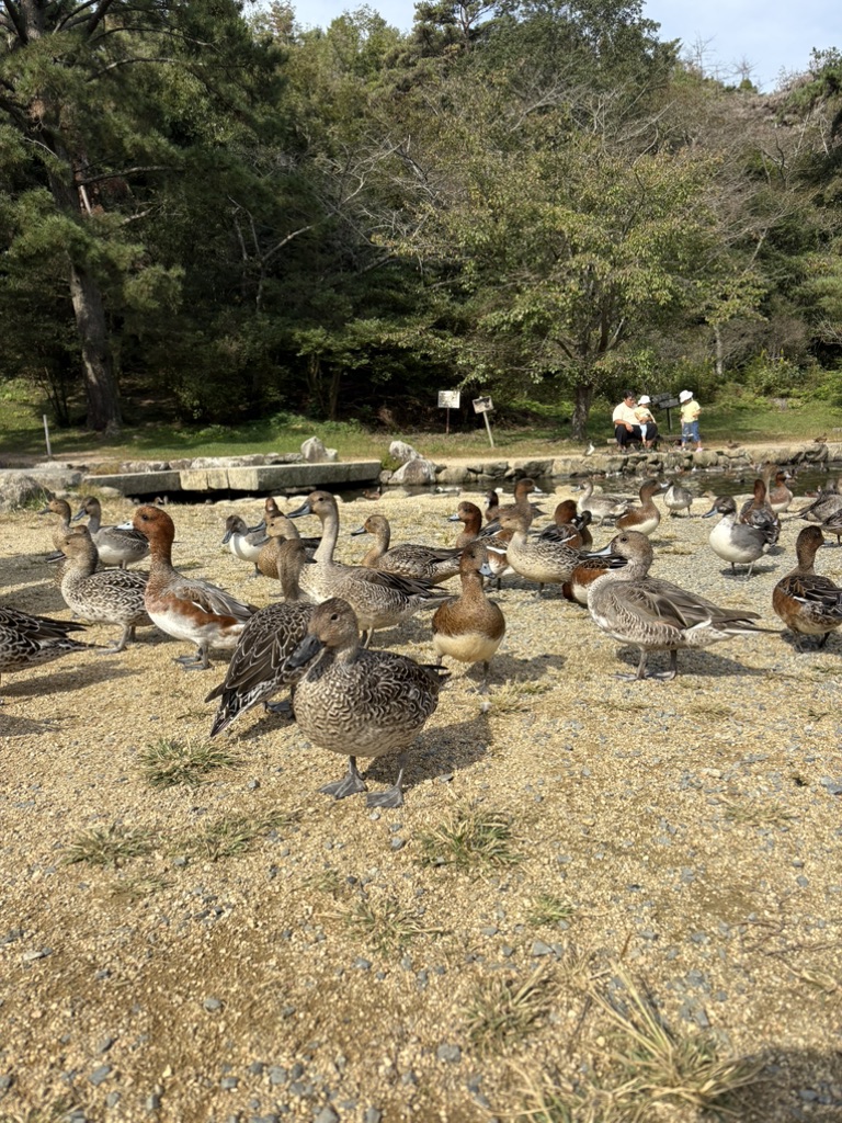 道の駅 みやま公園の写真