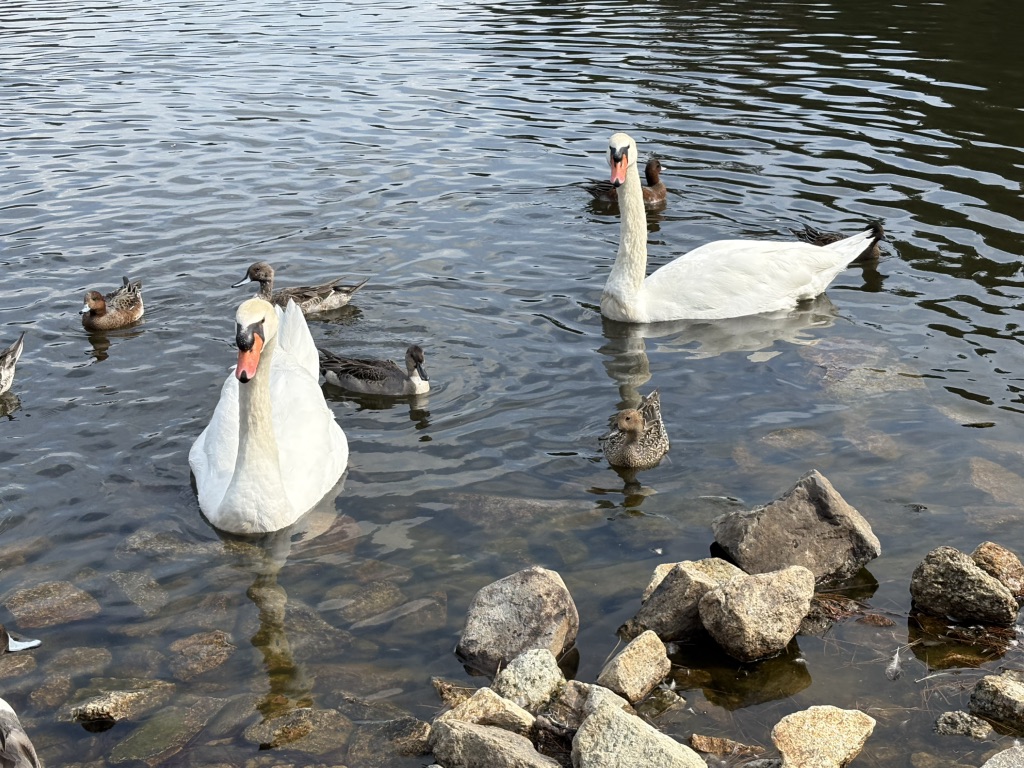 道の駅 みやま公園の写真