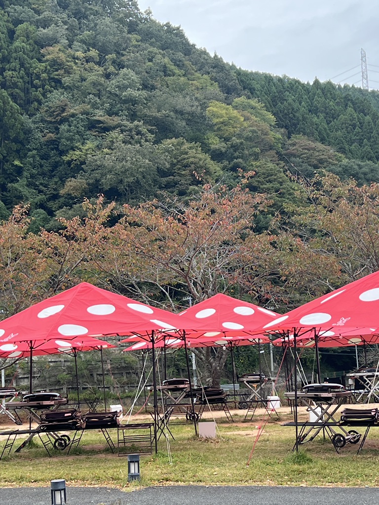 道の駅 スプリングスひよしの写真